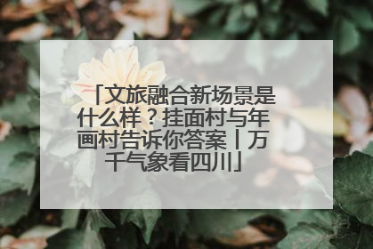 文旅融合新场景是什么样？挂面村与年画村告诉你答案丨万千气象看四川