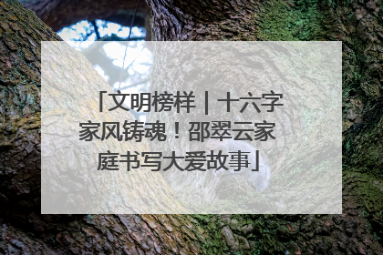 文明榜样｜十六字家风铸魂！邵翠云家庭书写大爱故事