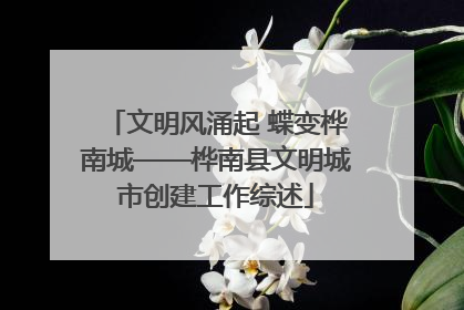 文明风涌起 蝶变桦南城——桦南县文明城市创建工作综述