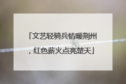 文艺轻骑兵情暖荆州，红色薪火点亮楚天