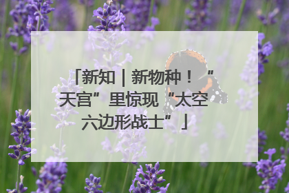 新知｜新物种！“天宫”里惊现“太空六边形战士”