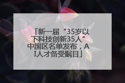新一届“35岁以下科技创新35人”中国区名单发布，AI人才备受瞩目