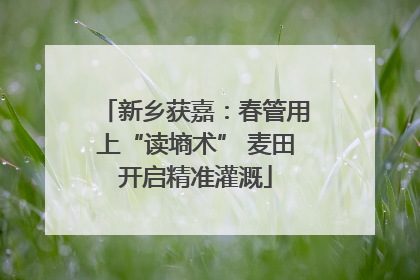 新乡获嘉：春管用上“读墒术” 麦田开启精准灌溉