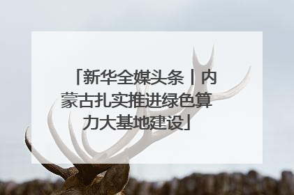 新华全媒头条丨内蒙古扎实推进绿色算力大基地建设