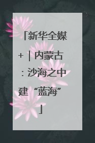 新华全媒+｜内蒙古：沙海之中建“蓝海”
