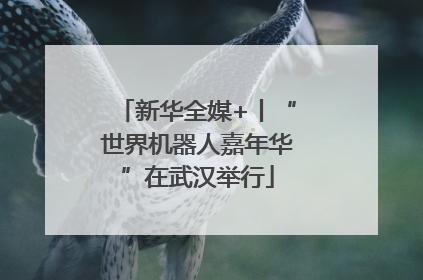 新华全媒+丨“世界机器人嘉年华”在武汉举行