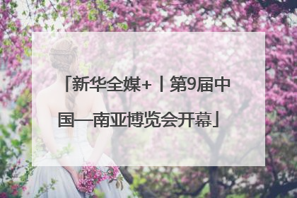 新华全媒+丨第9届中国—南亚博览会开幕