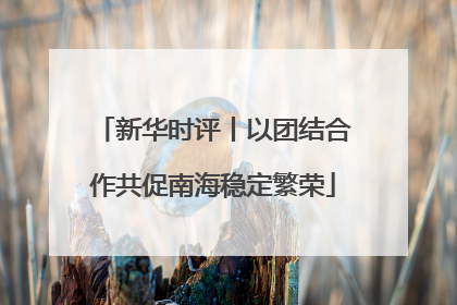 新华时评丨以团结合作共促南海稳定繁荣