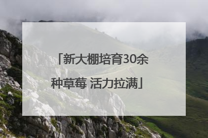新大棚培育30余种草莓 活力拉满