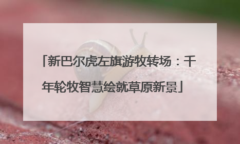 新巴尔虎左旗游牧转场：千年轮牧智慧绘就草原新景