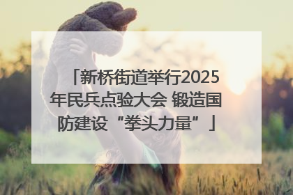 新桥街道举行2025年民兵点验大会 锻造国防建设“拳头力量”
