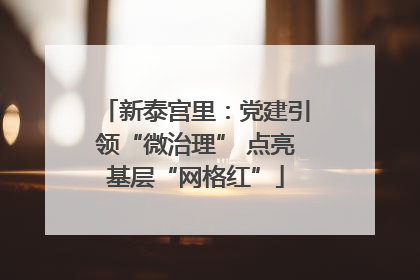 新泰宫里：党建引领“微治理” 点亮基层“网格红”
