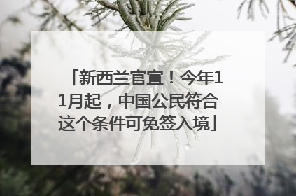 新西兰官宣！今年11月起，中国公民符合这个条件可免签入境