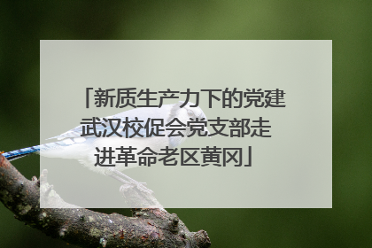 新质生产力下的党建 武汉校促会党支部走进革命老区黄冈