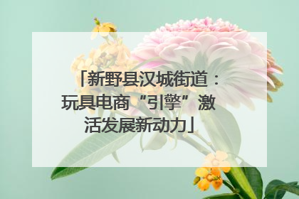 新野县汉城街道：玩具电商“引擎”激活发展新动力