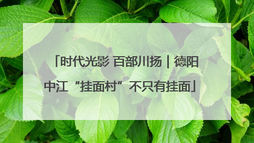 时代光影 百部川扬｜德阳中江“挂面村”不只有挂面