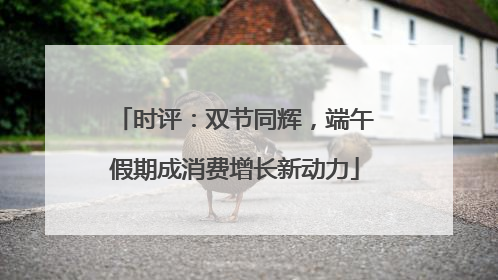 时评：双节同辉，端午假期成消费增长新动力