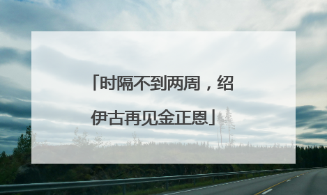 时隔不到两周，绍伊古再见金正恩