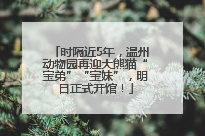 时隔近5年，温州动物园再迎大熊猫“宝弟”“宝妹”，明日正式开馆！
