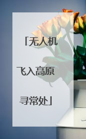 无人机飞入高原寻常处