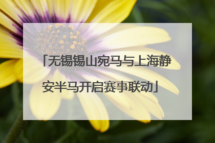 无锡锡山宛马与上海静安半马开启赛事联动