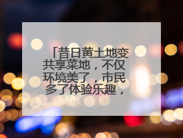 昔日黄土地变共享菜地，不仅环境美了，市民多了体验乐趣，村民还能增收