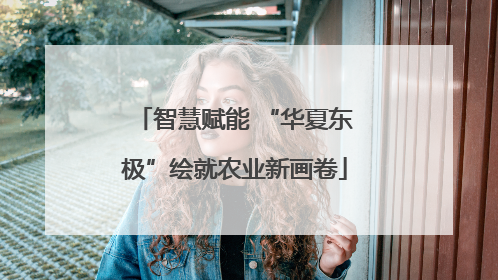 智慧赋能 “华夏东极”绘就农业新画卷