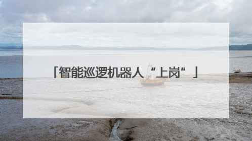 智能巡逻机器人“上岗”