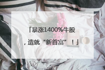 暴涨1400%牛股，造就“新首富”！