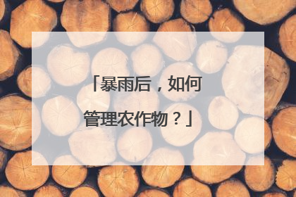 暴雨后，如何管理农作物？