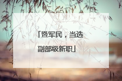暨军民，当选副部级新职