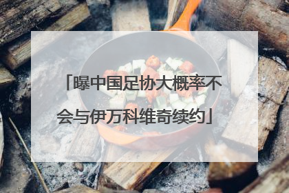 曝中国足协大概率不会与伊万科维奇续约