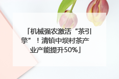 机械强农激活“茶引擎”！清镇中坝村茶产业产能提升50%
