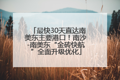 最快30天直达南美东主要港口！南沙-南美东“金砖快航”全面升级优化