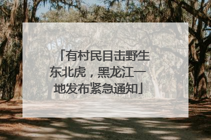 有村民目击野生东北虎，黑龙江一地发布紧急通知