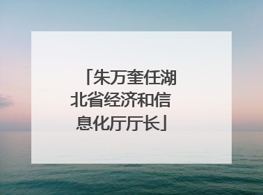 朱万奎任湖北省经济和信息化厅厅长