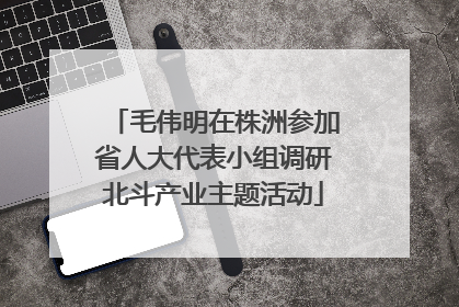 毛伟明在株洲参加省人大代表小组调研北斗产业主题活动