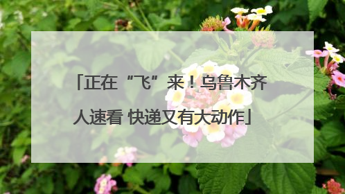 正在“飞”来！乌鲁木齐人速看 快递又有大动作