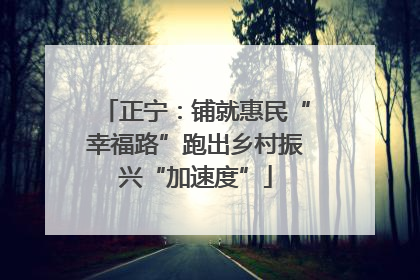 正宁：铺就惠民“幸福路”跑出乡村振兴“加速度”