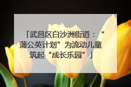 武昌区白沙洲街道：“蒲公英计划”为流动儿童筑起“成长乐园”