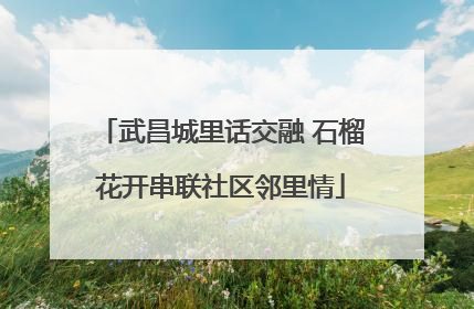 武昌城里话交融 石榴花开串联社区邻里情