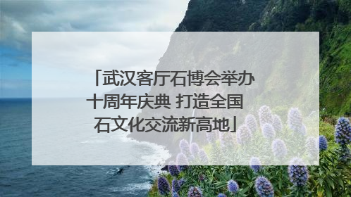 武汉客厅石博会举办十周年庆典 打造全国石文化交流新高地