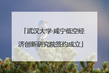 武汉大学·咸宁低空经济创新研究院签约成立