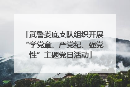 武警娄底支队组织开展“学党章、严党纪、强党性”主题党日活动