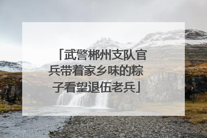 武警郴州支队官兵带着家乡味的粽子看望退伍老兵