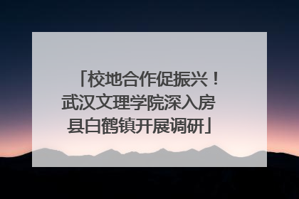 校地合作促振兴！武汉文理学院深入房县白鹤镇开展调研