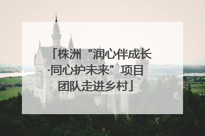 株洲“润心伴成长·同心护未来”项目团队走进乡村