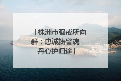 株洲市强戒所向群：忠诚铸警魂 丹心护归途