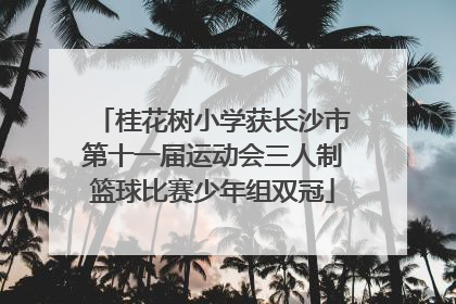 桂花树小学获长沙市第十一届运动会三人制篮球比赛少年组双冠