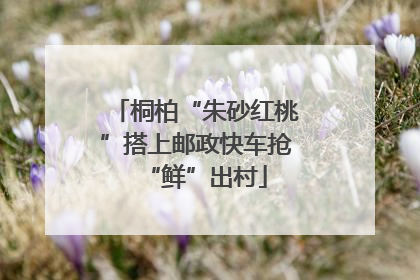 桐柏“朱砂红桃”搭上邮政快车抢“鲜”出村
